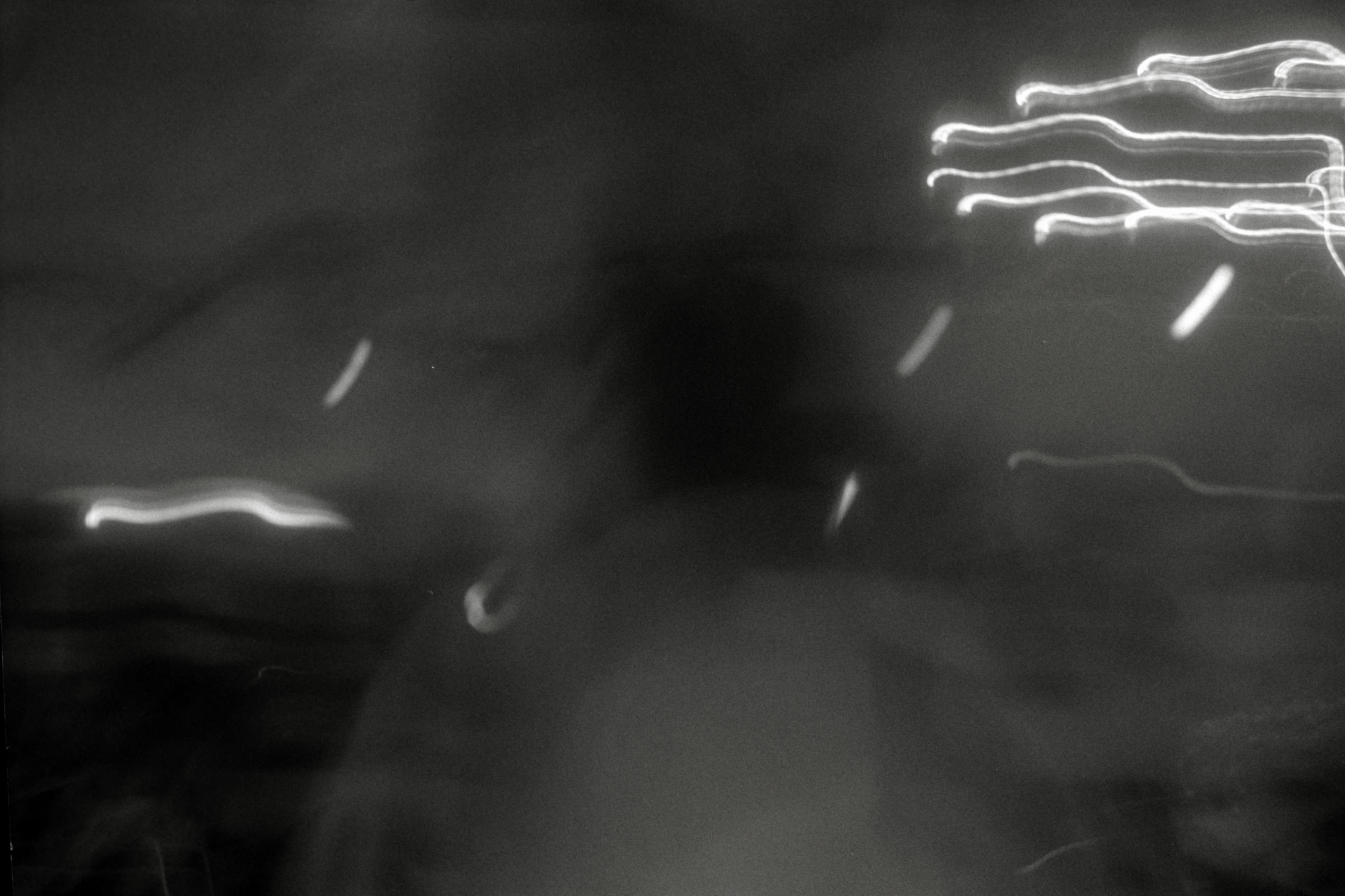 AHP F1998 05 002 sc240815 img06 NLP